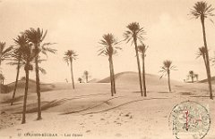 colomb bechar  (23)